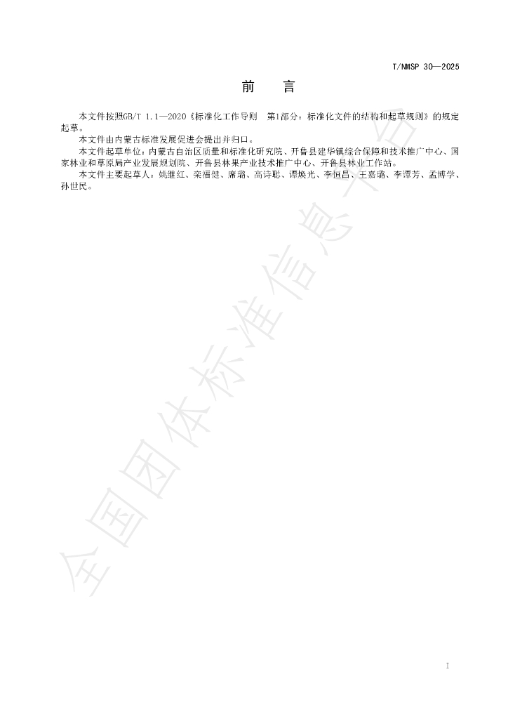 T/NMSP 30-2025 标准预览