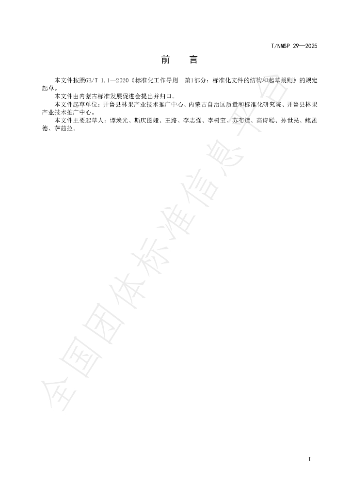 T/NMSP 29-2025 标准预览