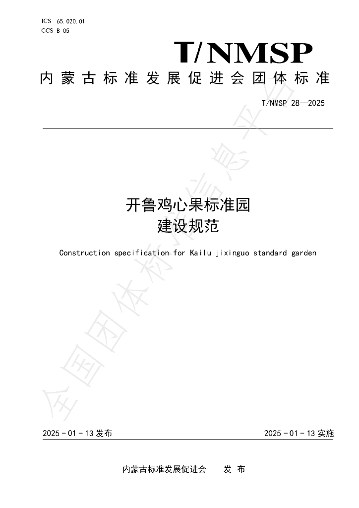 T/NMSP 28-2025 标准预览