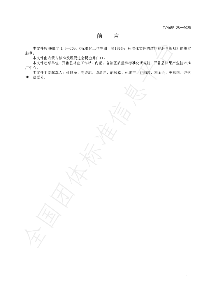 T/NMSP 28-2025 标准预览