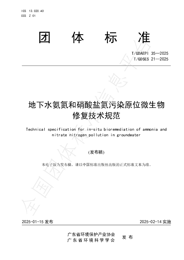 T/GDSES 21-2025 标准预览