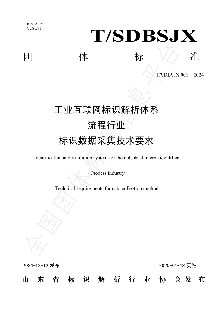 T/SDBSJX 001-2024 标准预览