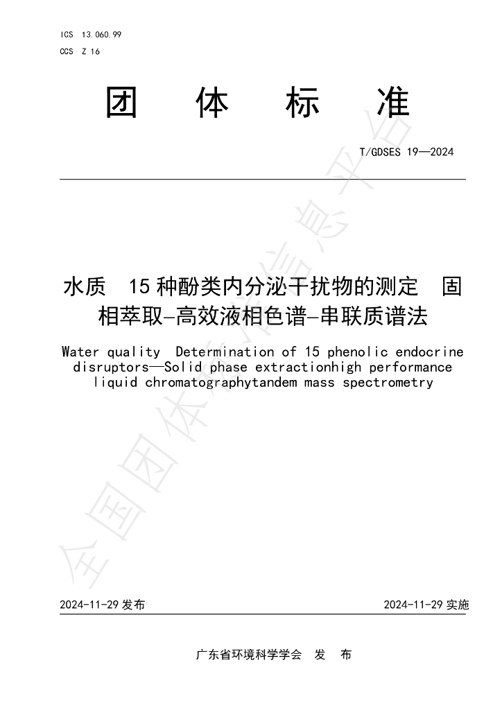 T/GDSES 19-2024 标准预览