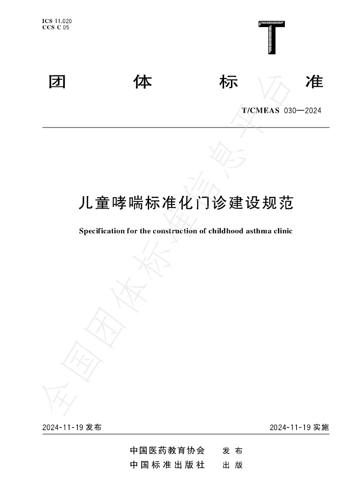 T/CMEAS 030-2024 标准预览