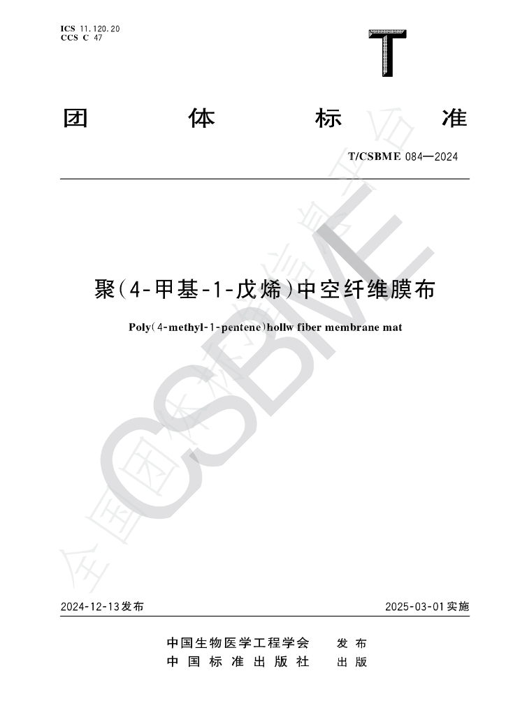 T/CSBME 084-2024 标准预览