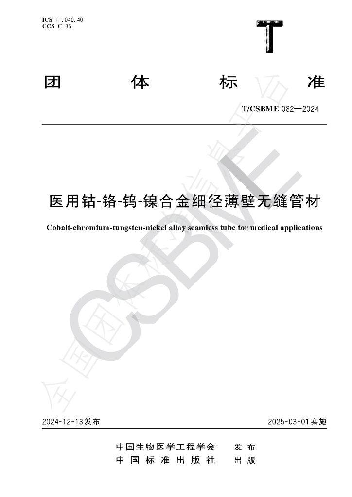 T/CSBME 082-2024 标准预览