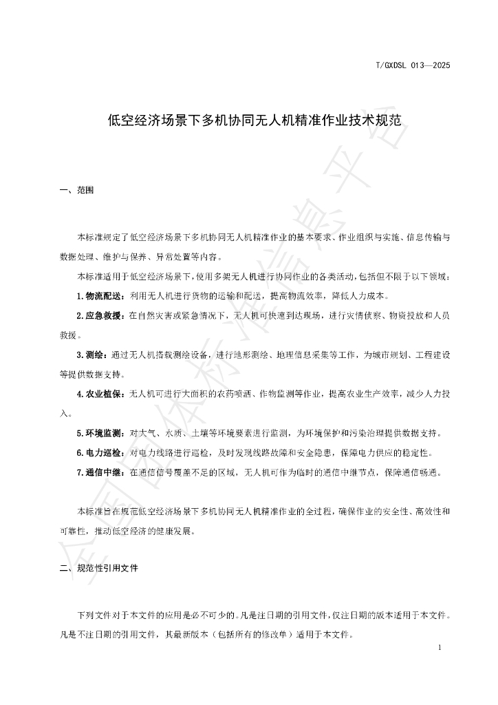 T/GXDSL 013-2025 标准预览