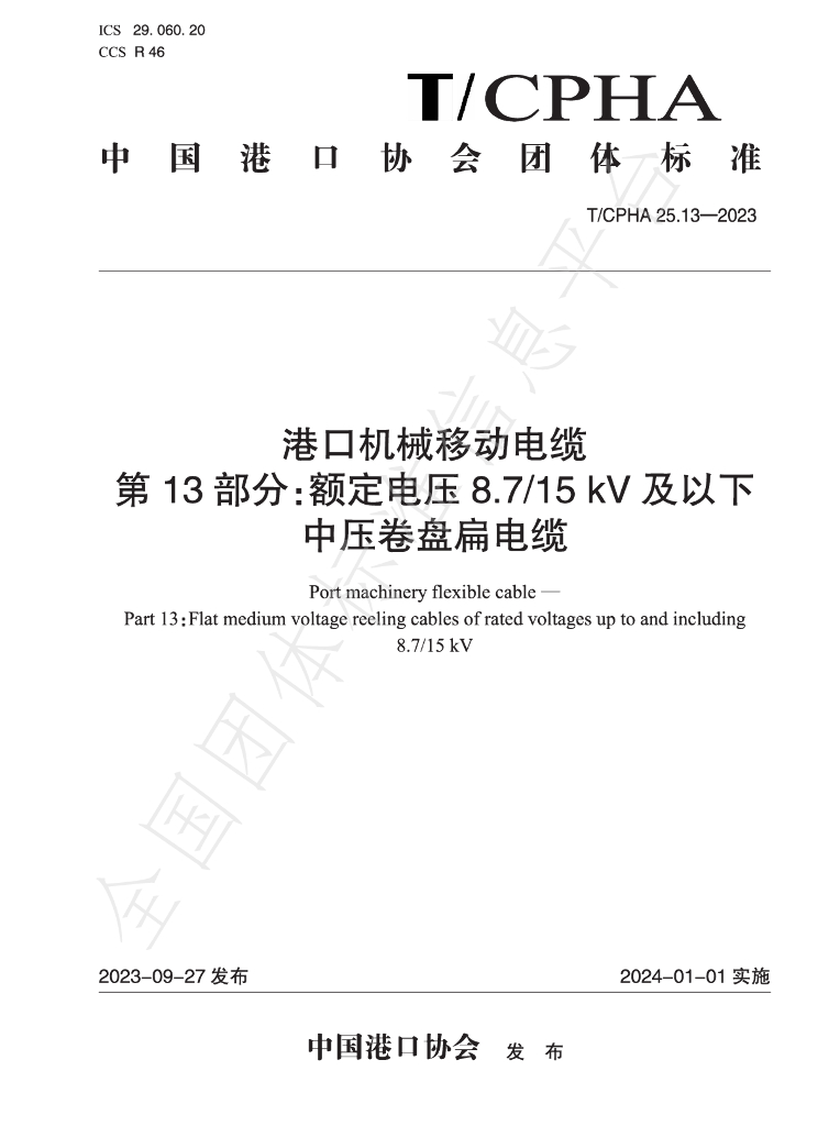 T/CPHA 25.13-2023 标准预览