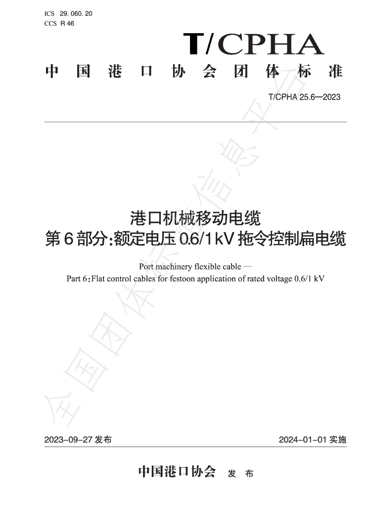T/CPHA 25.6-2023 标准预览