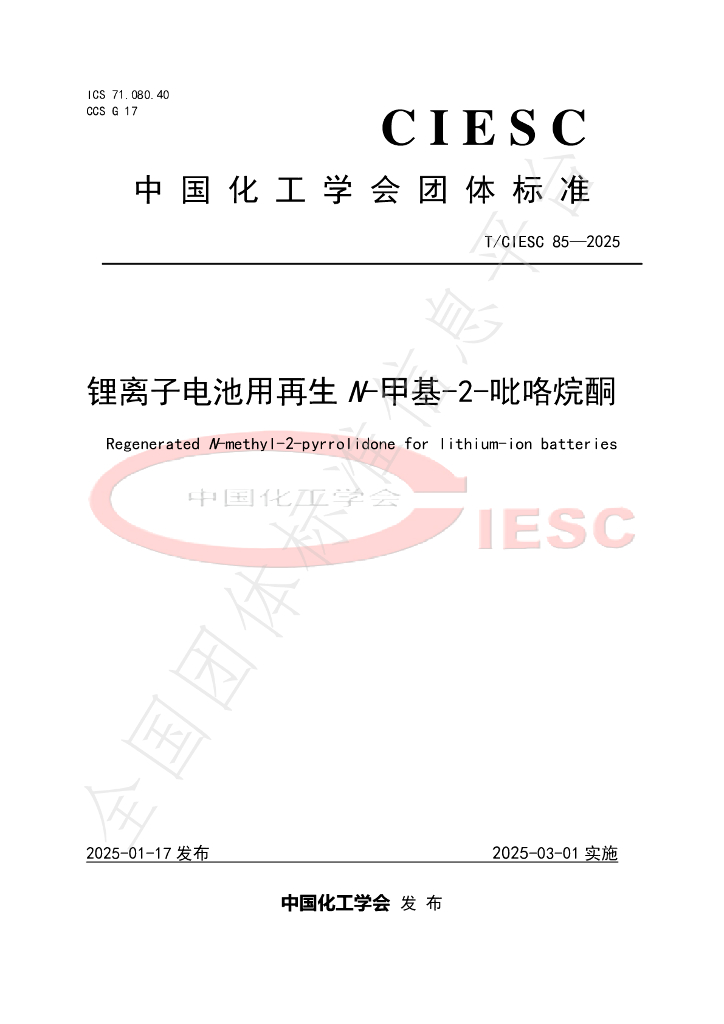 T/CIESC 85-2025 标准预览