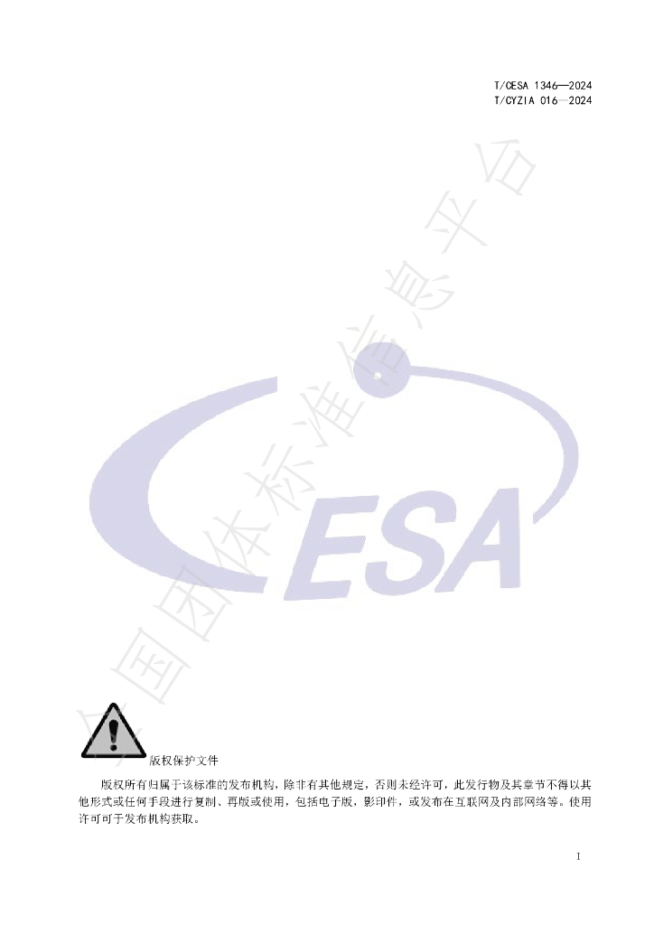 T/CESA 1346-2024 标准预览