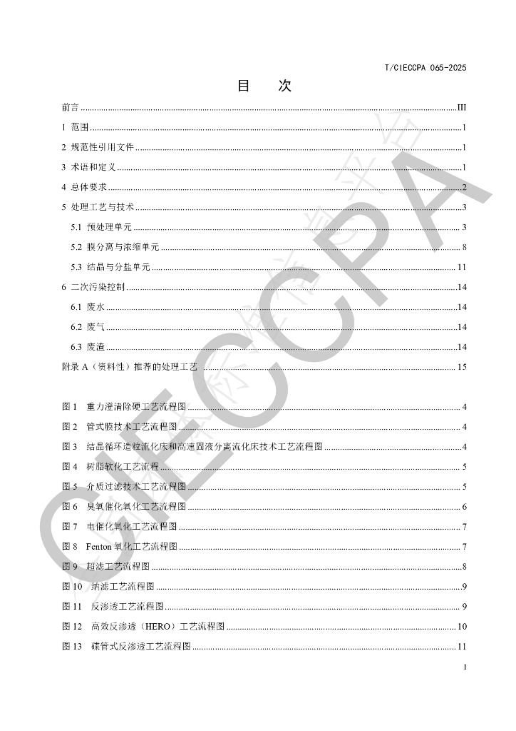 T/CIECCPA 065-2025 标准预览