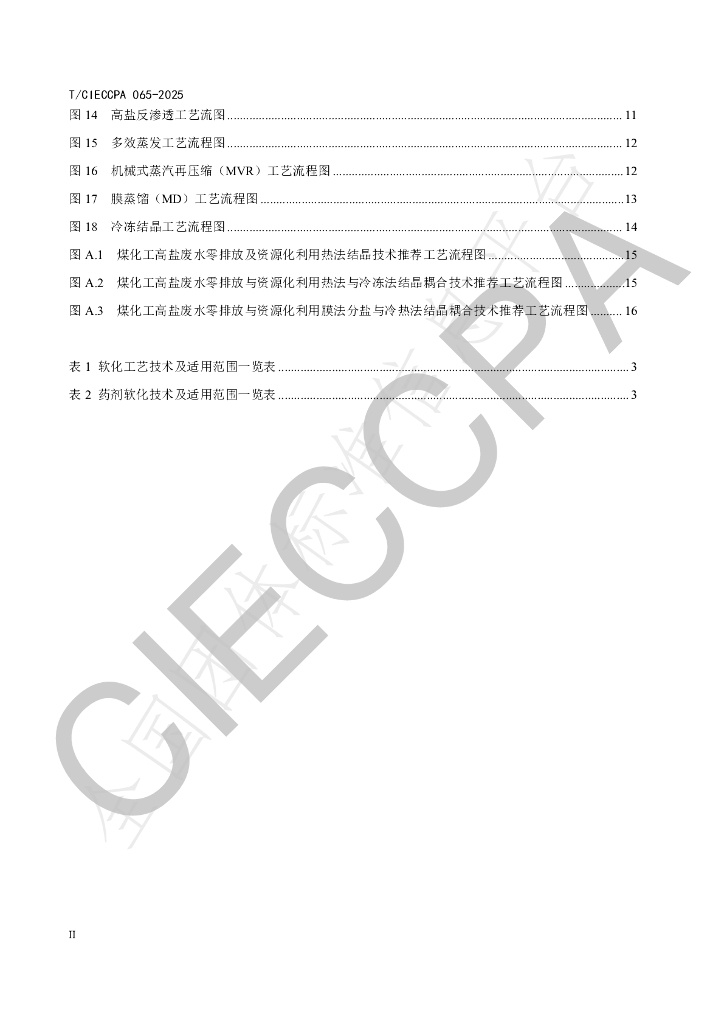 T/CIECCPA 065-2025 标准预览