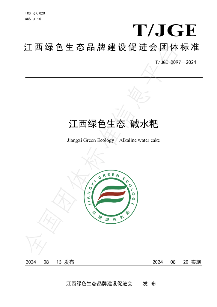 T/JGE 0097-2024 标准预览