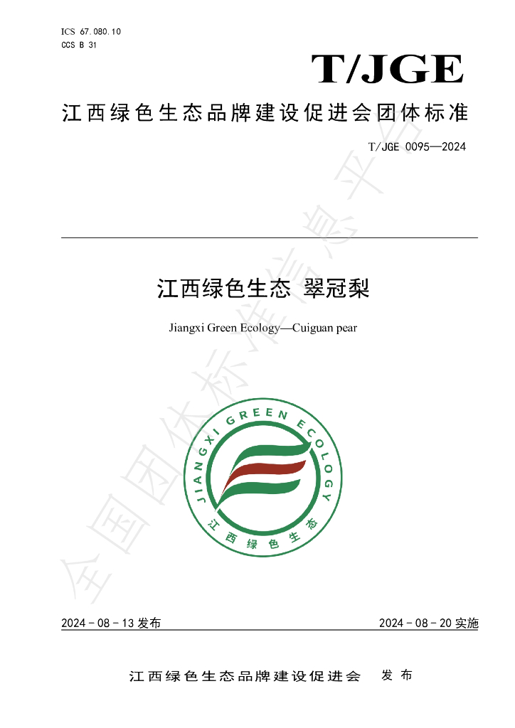 T/JGE 0095-2024 标准预览