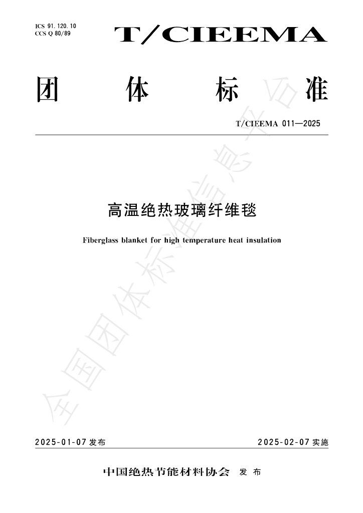 T/CIEEMA 011-2025 标准预览