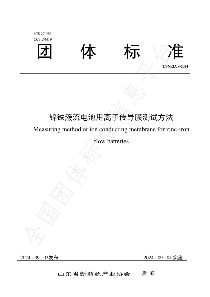T/SNEIA 9-2024 标准预览