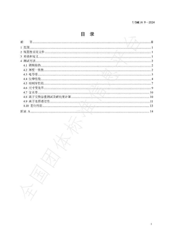 T/SNEIA 9-2024 标准预览
