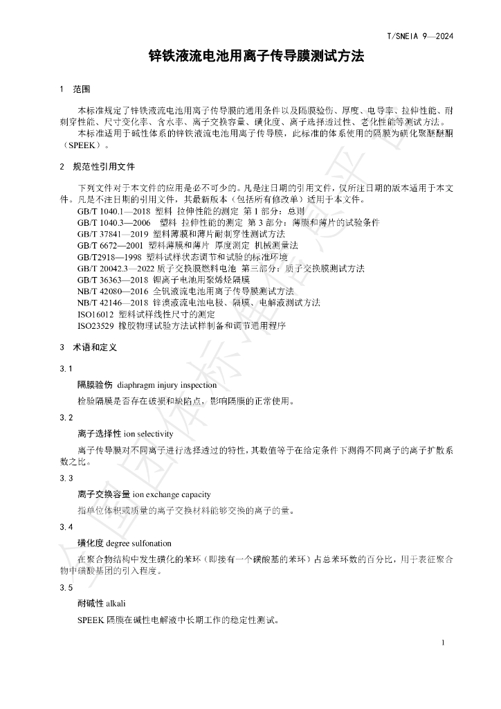 T/SNEIA 9-2024 标准预览