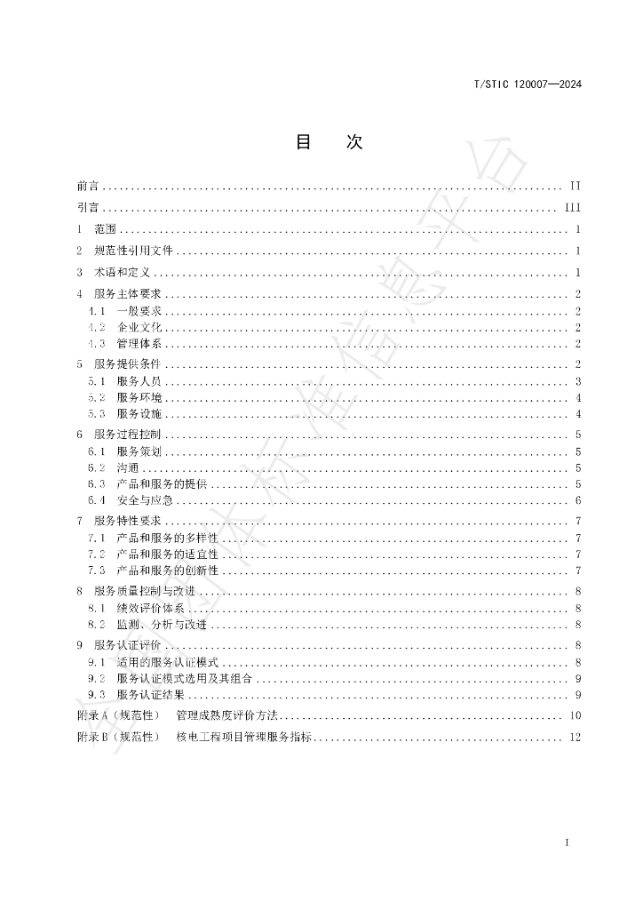 T/STIC 120007-2024 标准预览