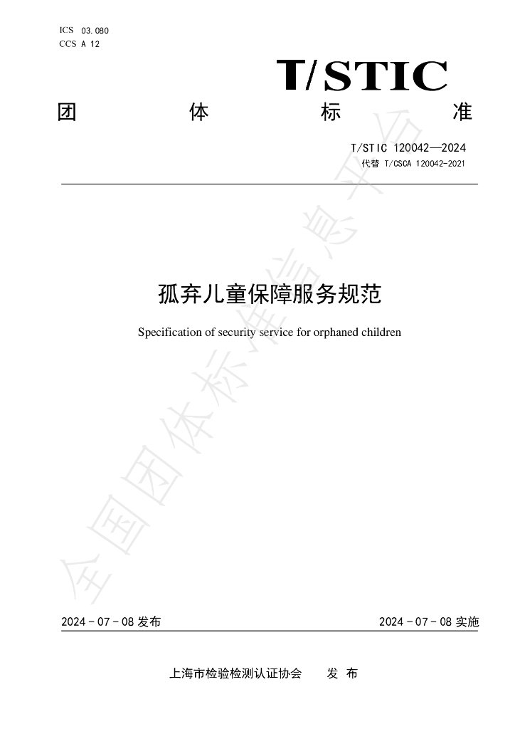 T/STIC 120042-2024 标准预览