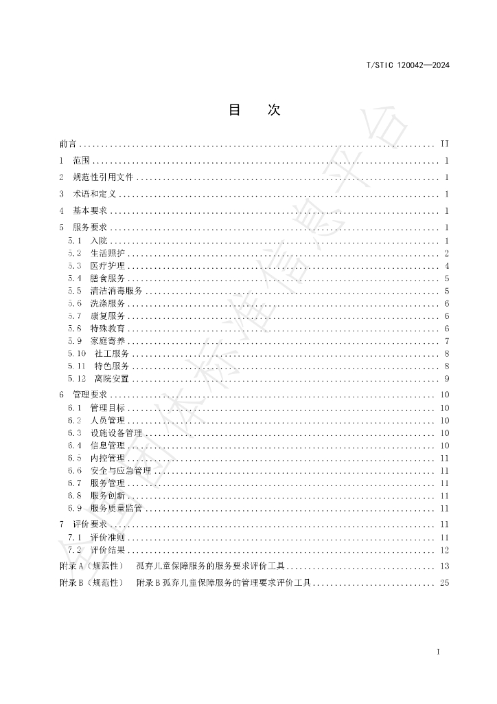 T/STIC 120042-2024 标准预览