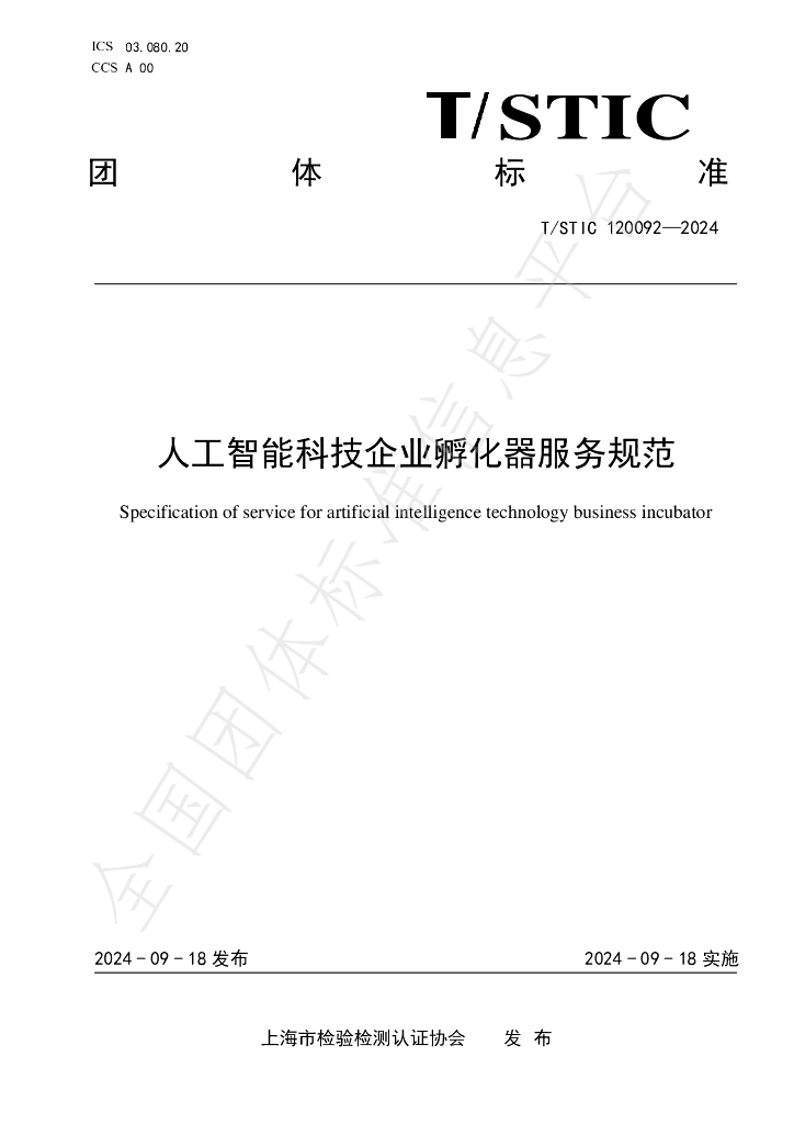 T/STIC 120092-2024 标准预览