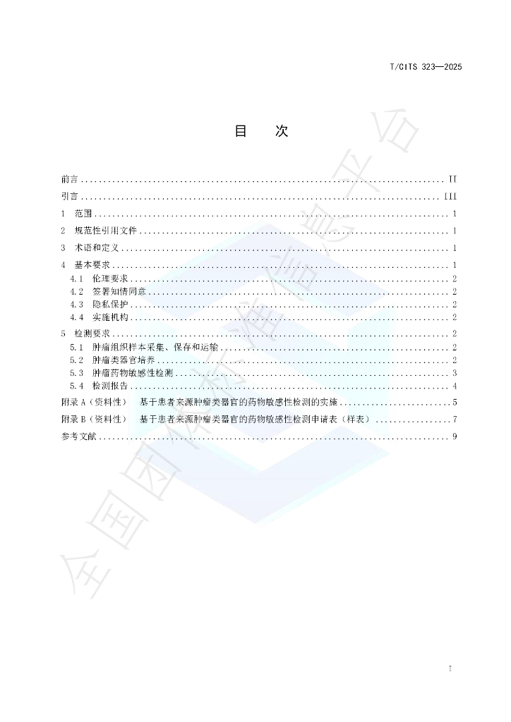 T/CITS 323-2025 标准预览