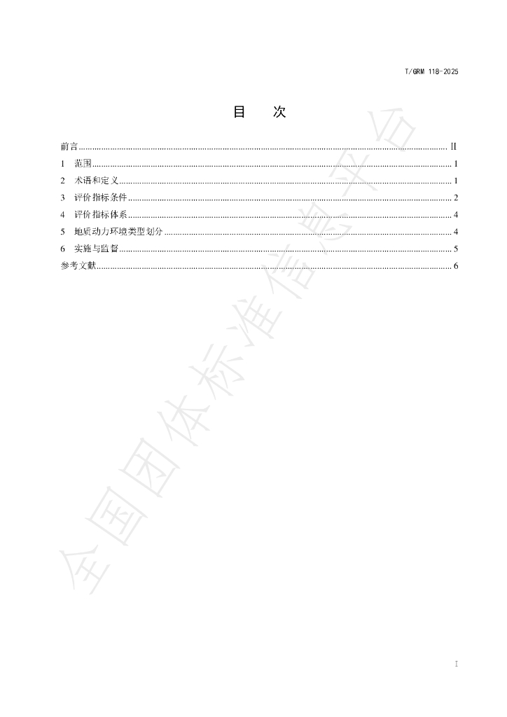 T/GRM 118-2025 标准预览