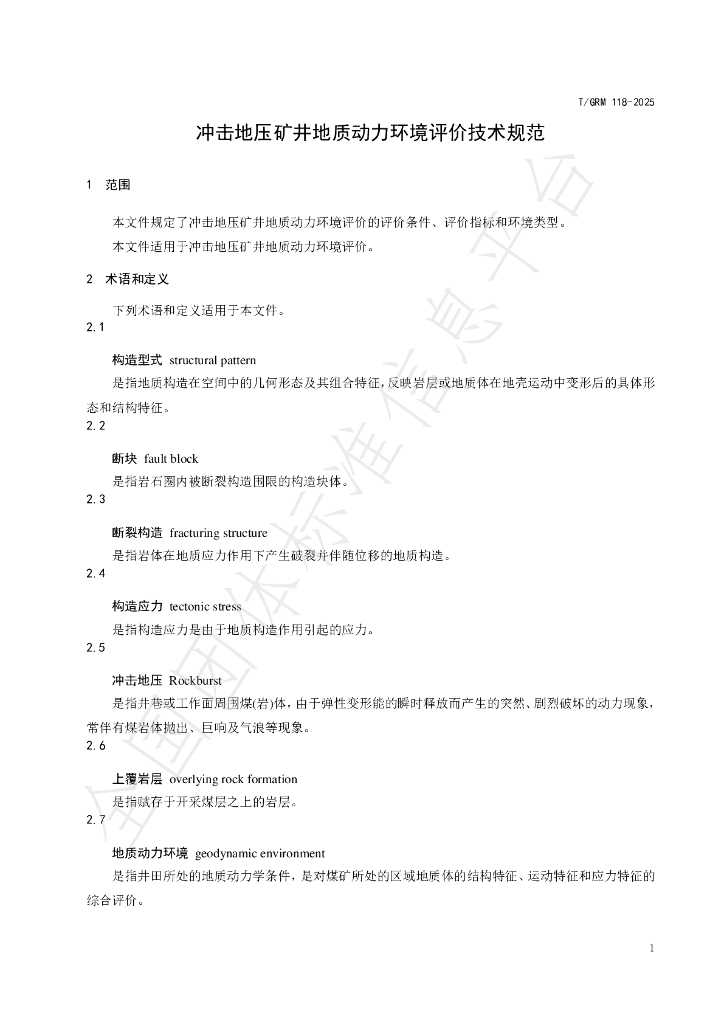 T/GRM 118-2025 标准预览
