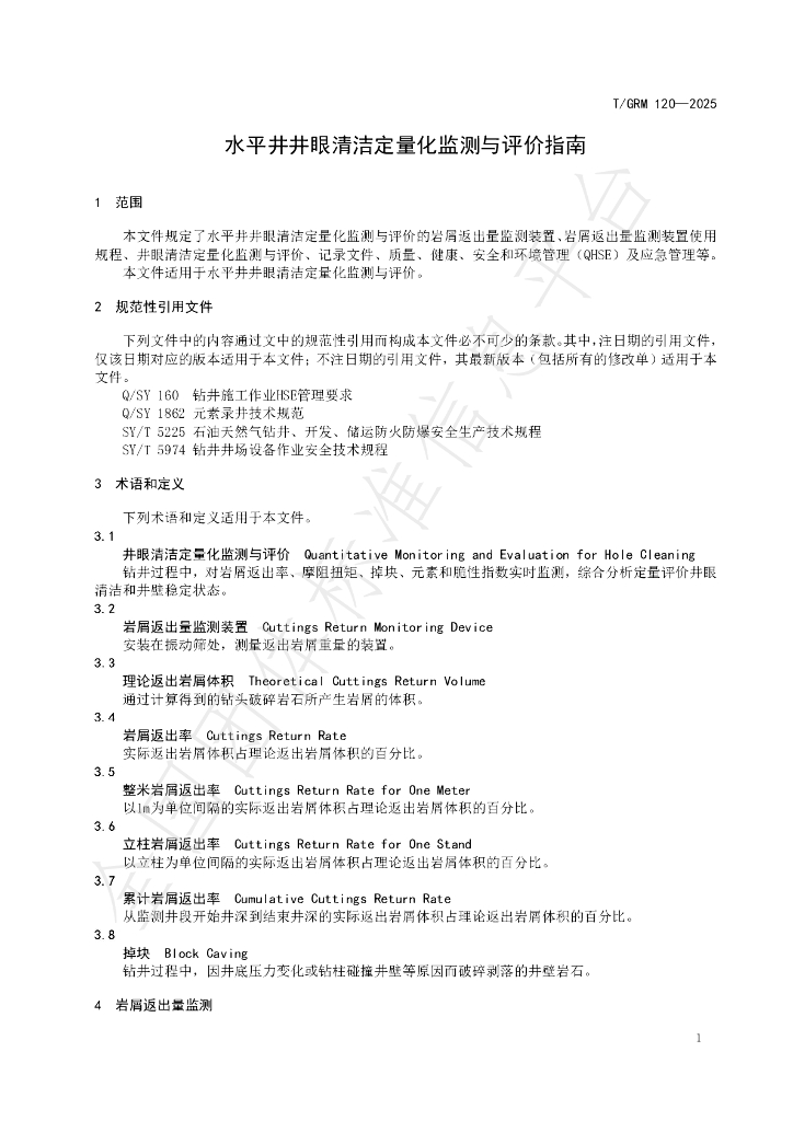 T/GRM 120-2025 标准预览