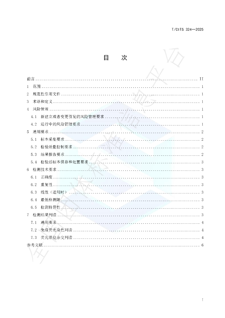 T/CITS 324-2025 标准预览