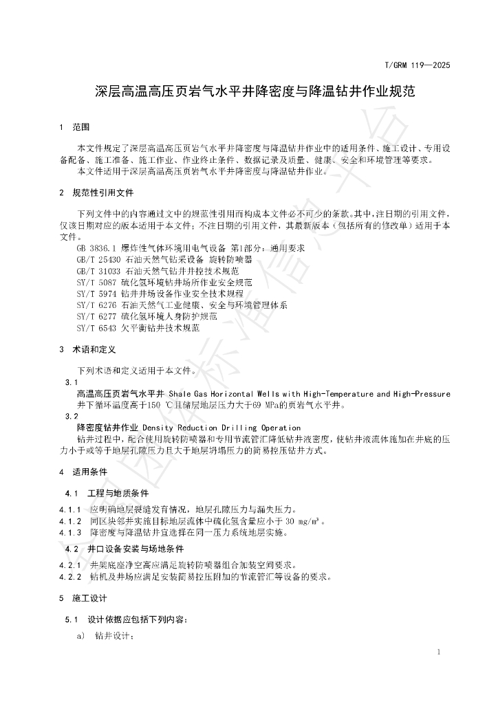 T/GRM 119-2025 标准预览