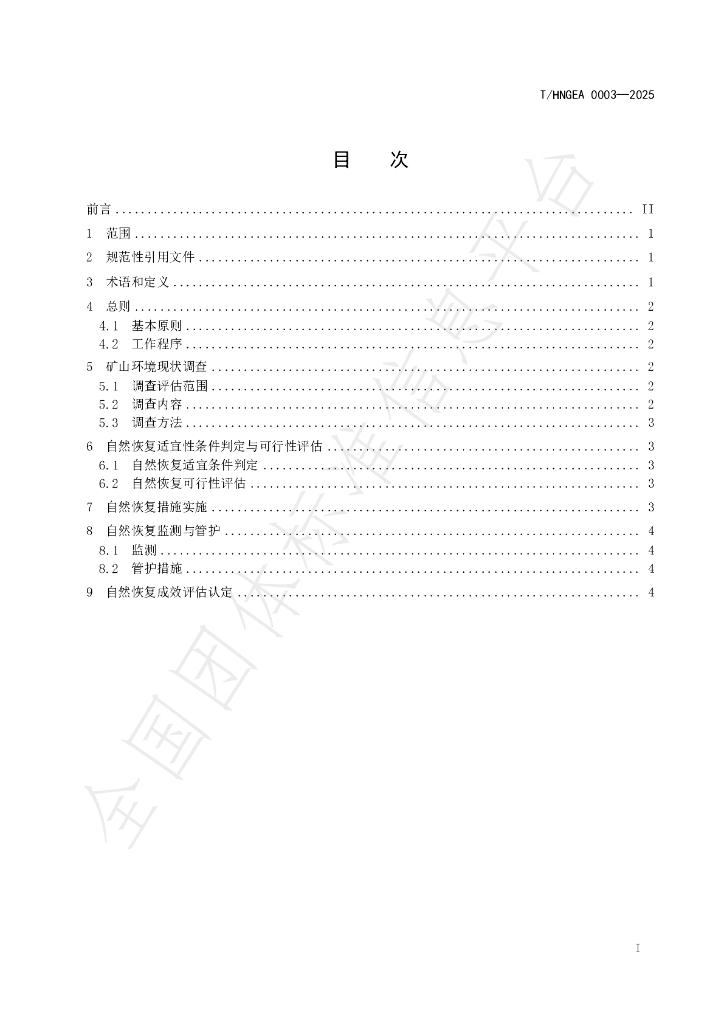 T/HNGEA 0003-2025 标准预览
