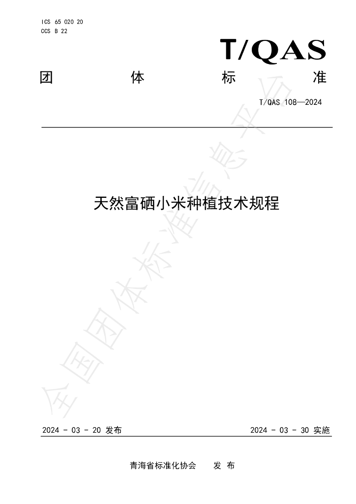 T/QAS 108-2024 标准预览