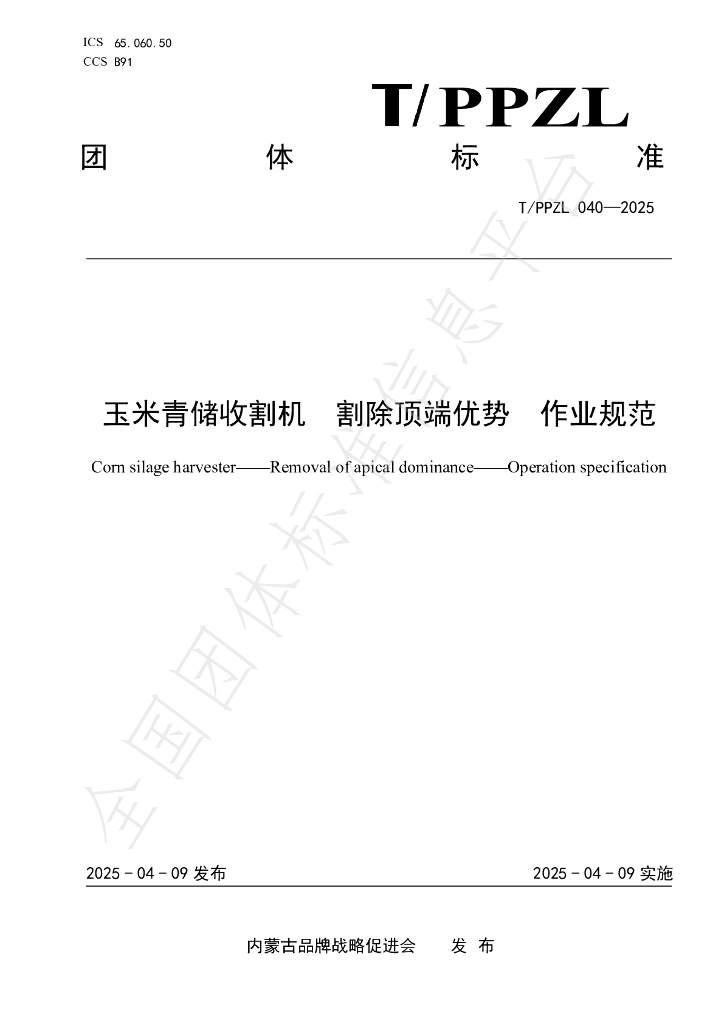 T/PPZL 040-2025 标准预览