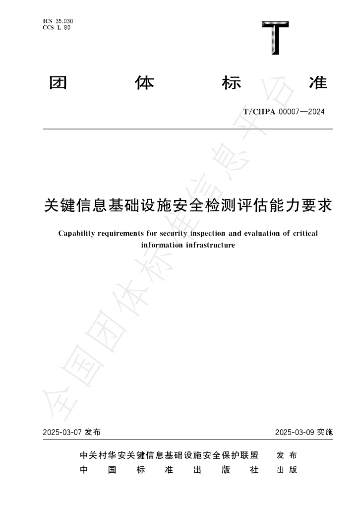 T/CIIPA 00007-2024 标准预览