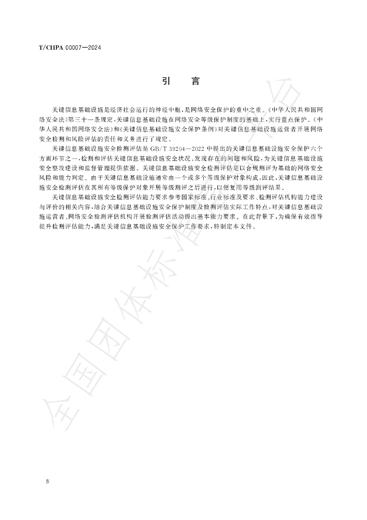 T/CIIPA 00007-2024 标准预览