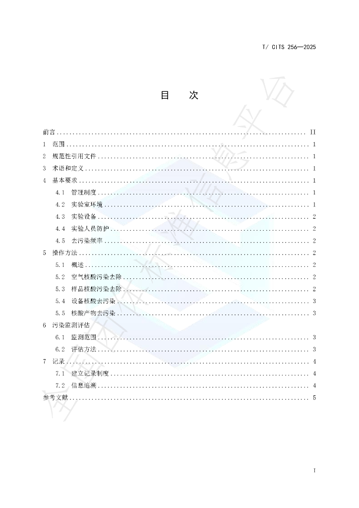 T/CITS 256-2025 标准预览