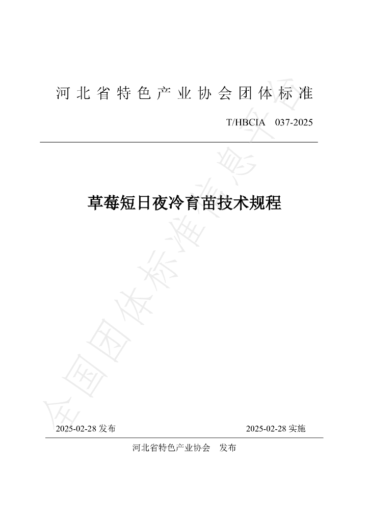 T/HBCIA 037-2025 标准预览
