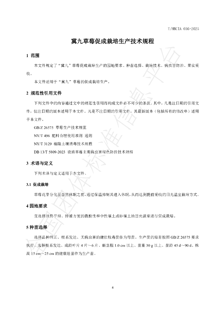 T/HBCIA 036-2025 标准预览
