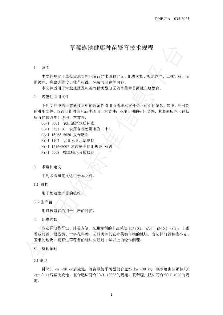 T/HBCIA 035-2025 标准预览