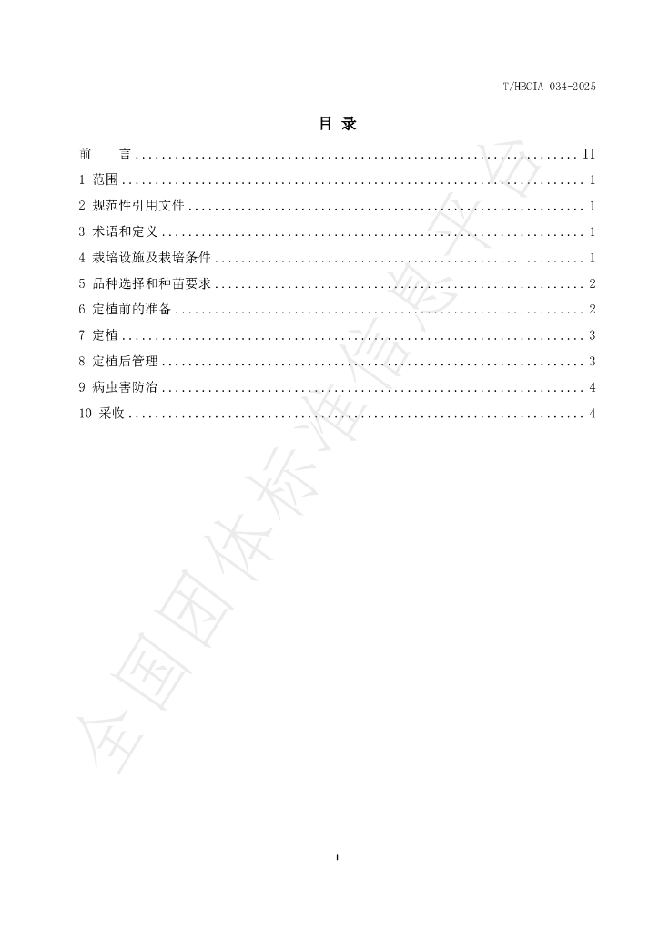 T/HBCIA 034-2025 标准预览