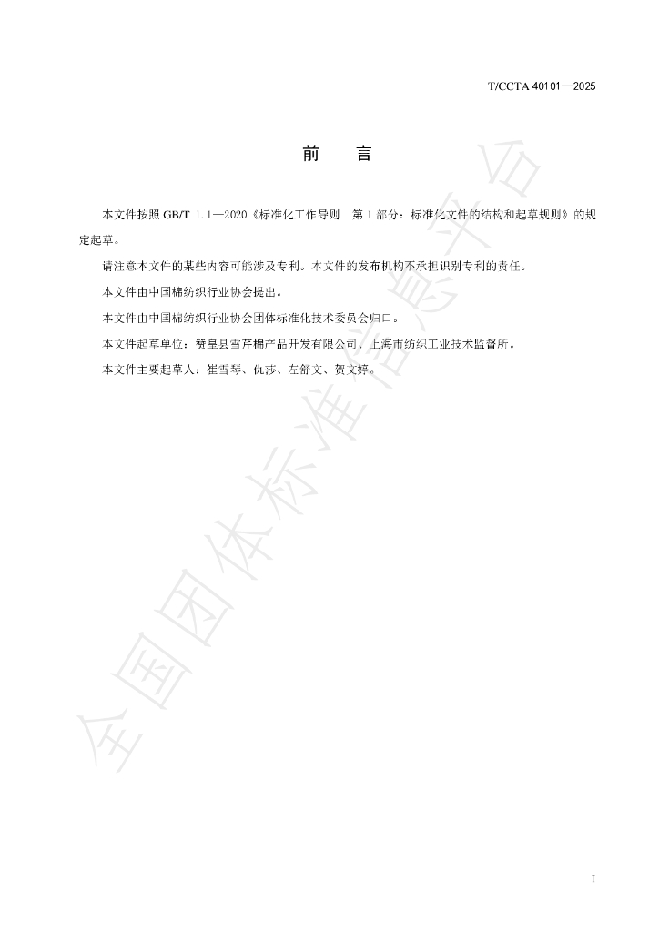 T/CCTA 40101-2025 标准预览