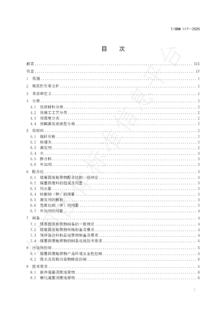 T/GRM 117-2025 标准预览