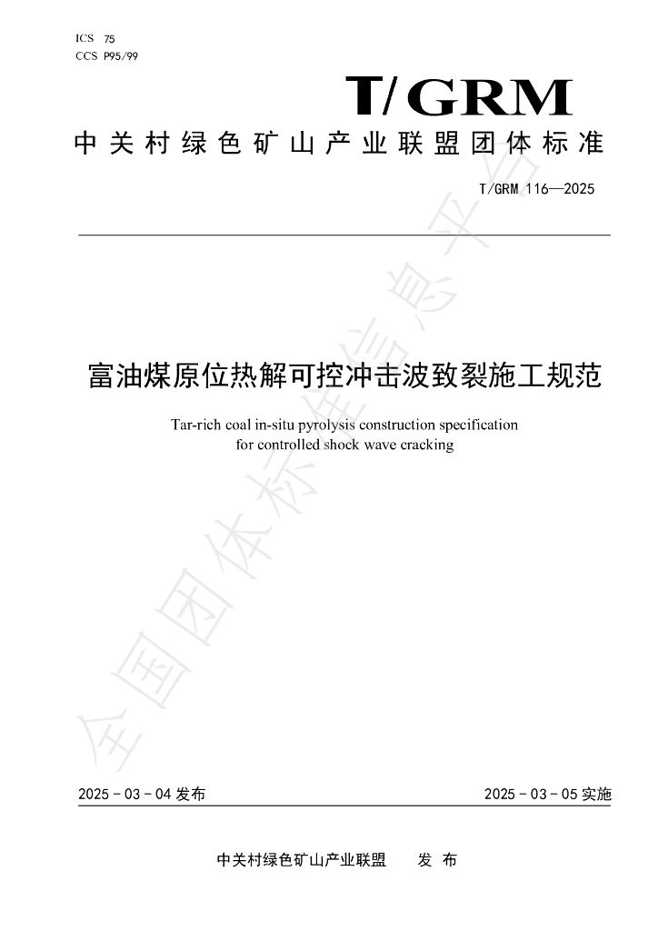 T/GRM 116-2025 标准预览
