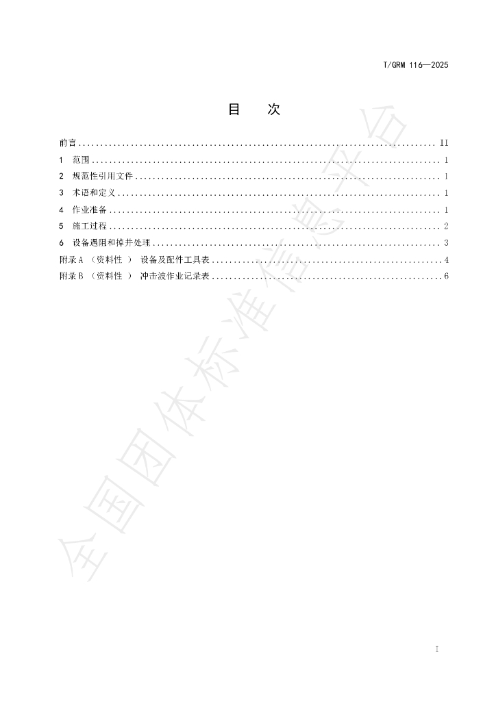 T/GRM 116-2025 标准预览
