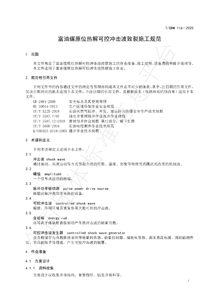 T/GRM 116-2025 标准预览