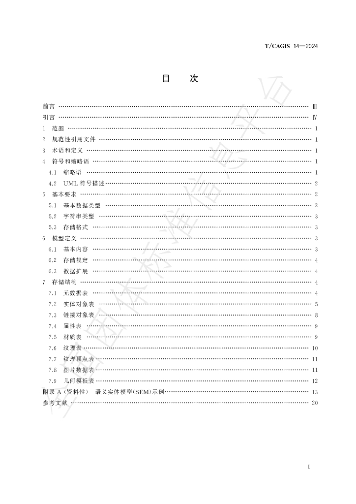 T/CAGIS 14-2024 标准预览