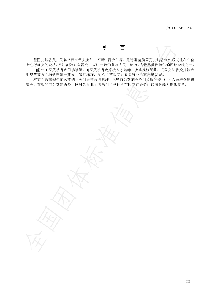 T/CEMA 020-2025 标准预览